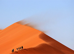 点卡交易市场的短信在线轰炸测试